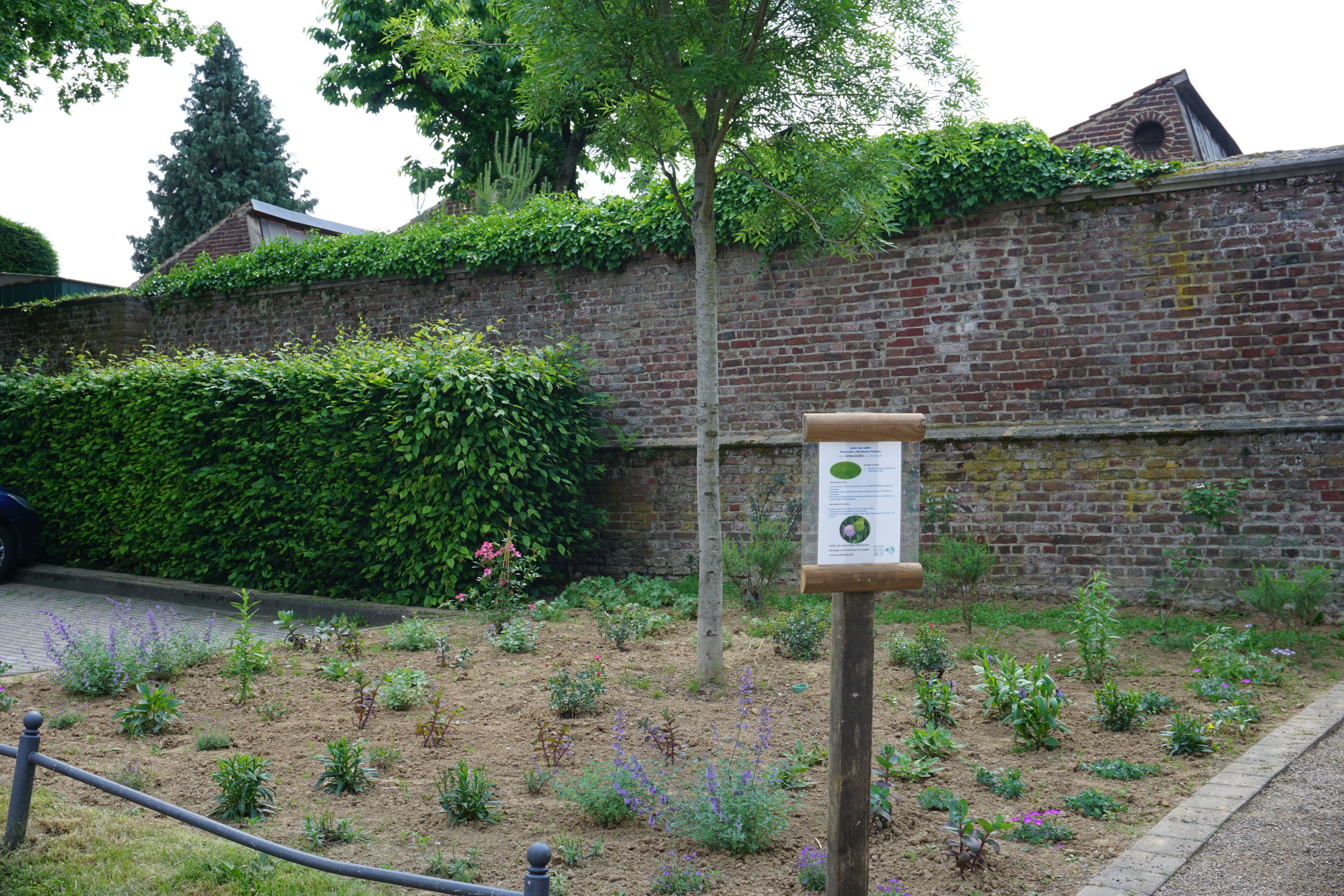 Grünfläche in Lövenich Grünfläche in Lövenich