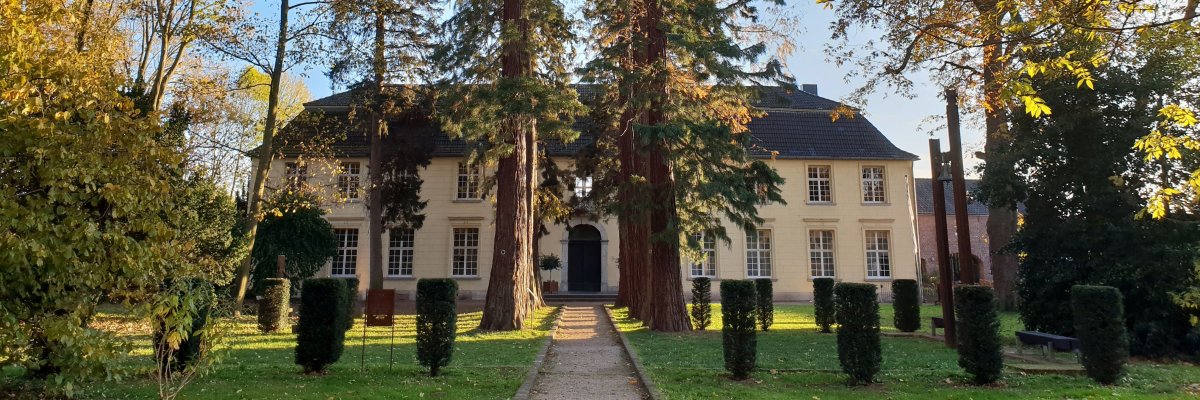 Haus Hohenbusch Weg in Richtung Herrenhaus auf Haus Hohenbusch, gesäumt von Bäumen