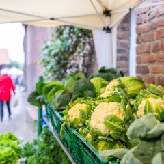 Frischer Blumenkohl auf dem Bauernmarkt