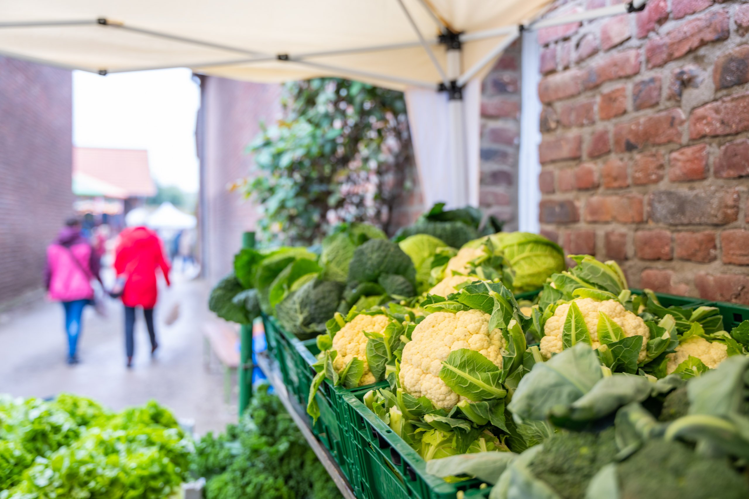 Frischer Blumenkohl auf dem Bauernmarkt