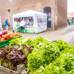 Frischer Salat auf dem Bauernmarkt