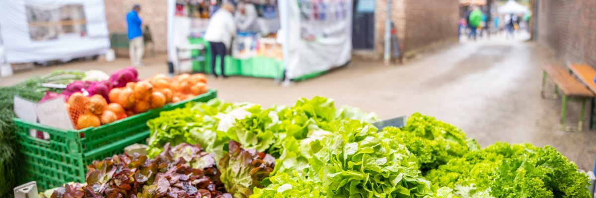 Salat Frischer Salat auf dem Bauernmarkt