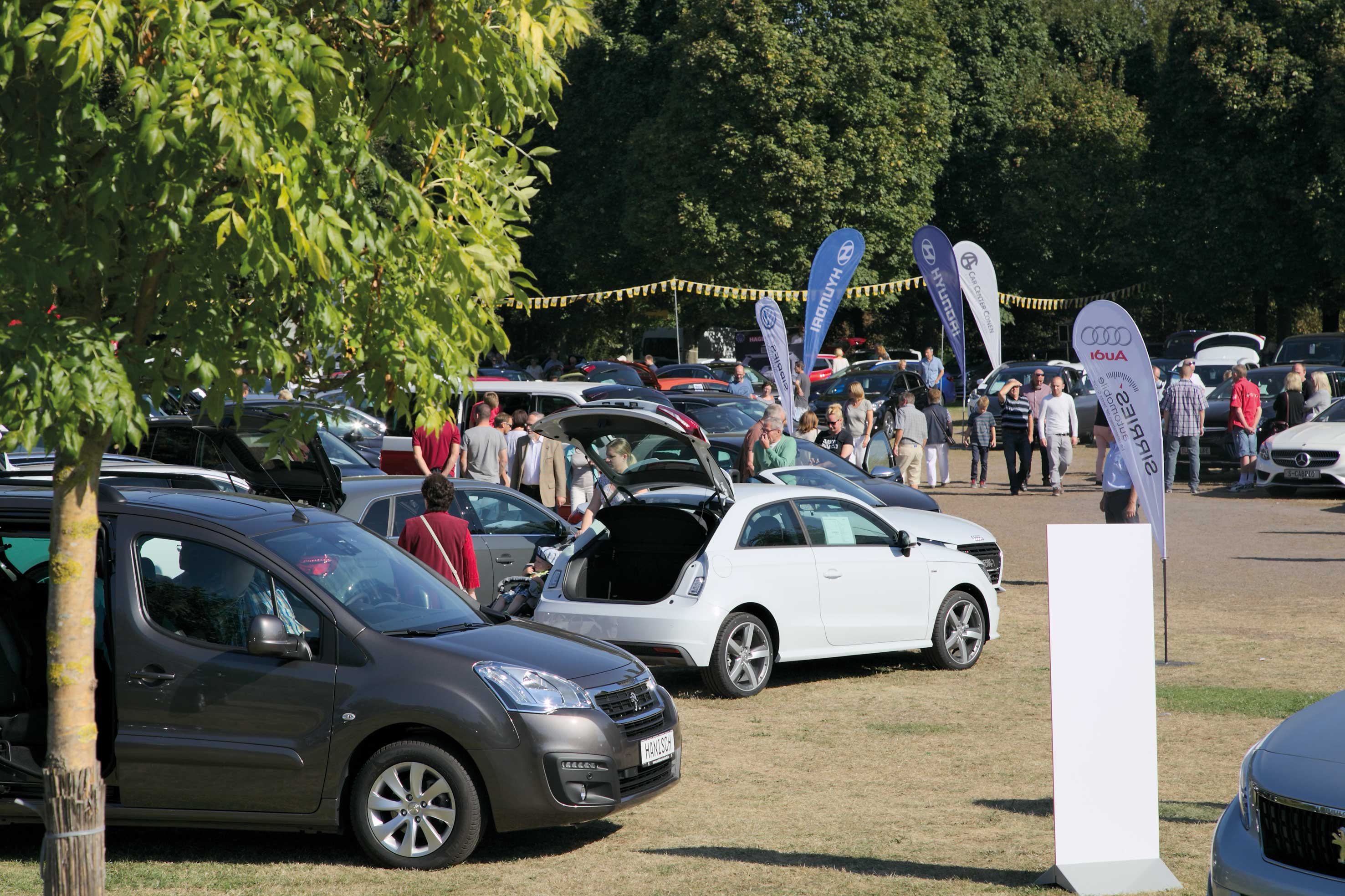 Autos und Gäste bei der Automobilausstellung im Ziegelweiherpark