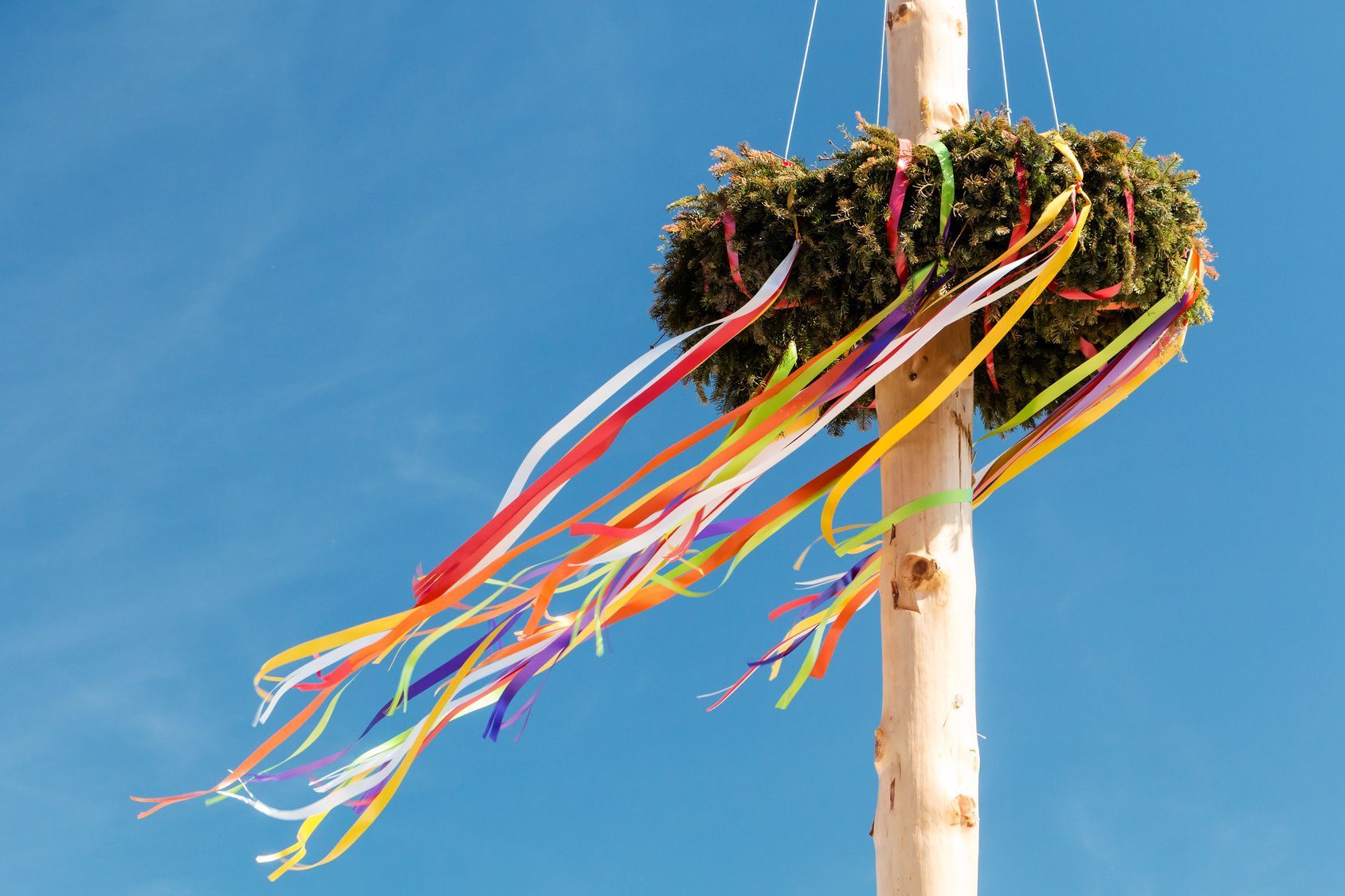 Maibaum Maibaum