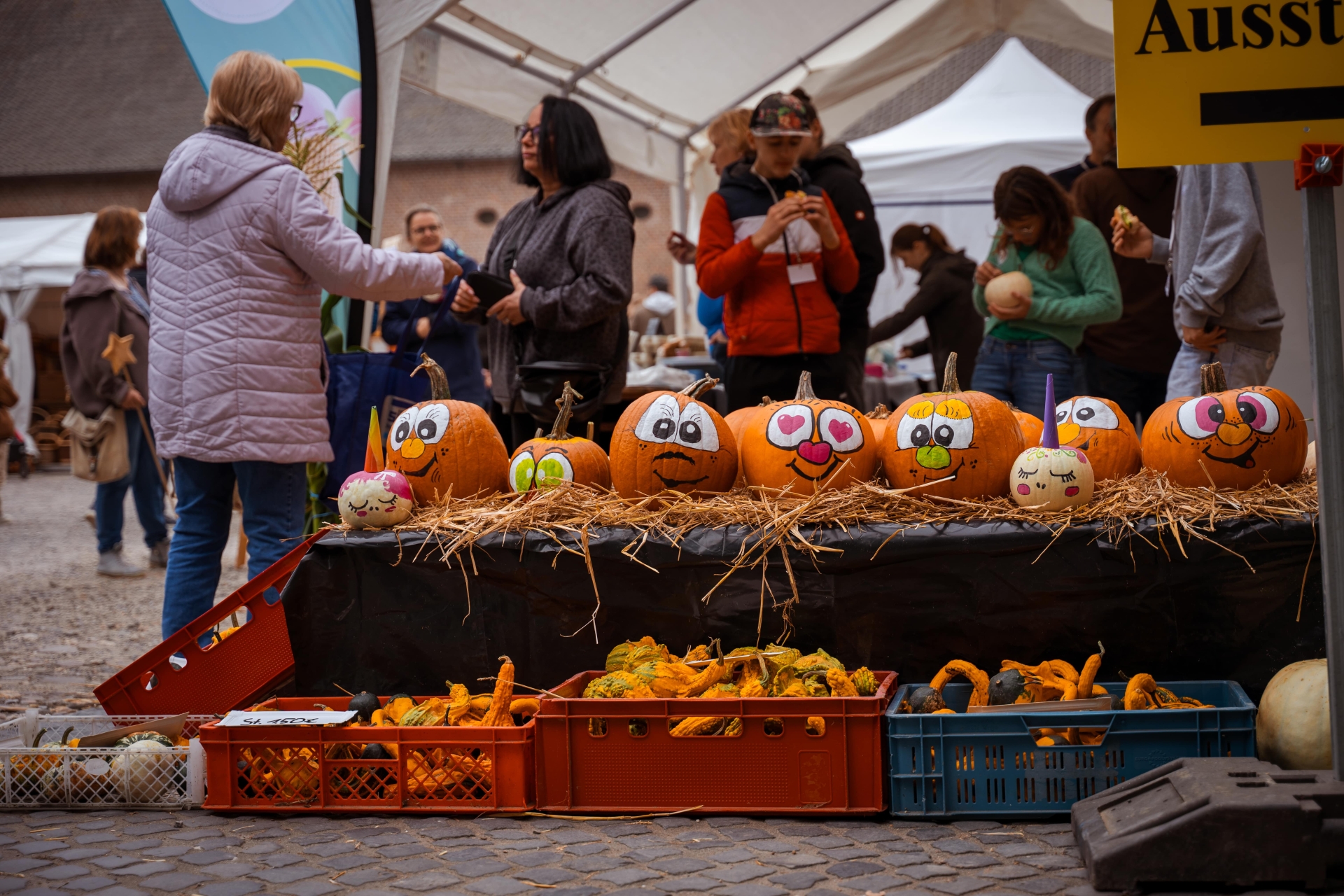 Bauernmarkt Hohenbusch Kürbis