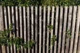 Verwitterter Zaun Verwitterter Zaun