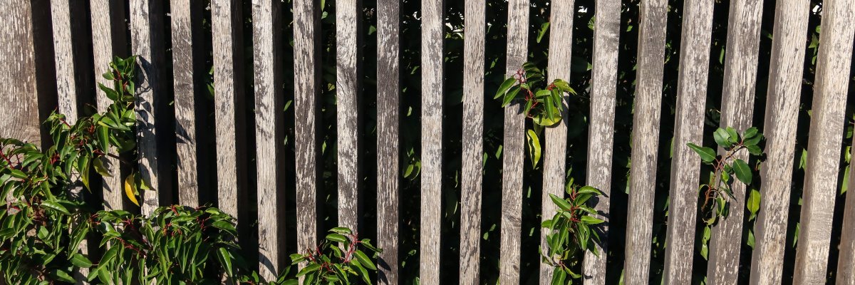 Verwitterter Zaun Verwitterter Zaun