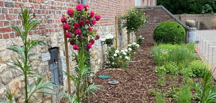 Kräutergarten auf Haus Hohenbusch