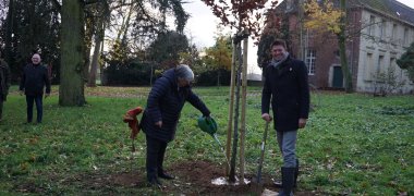 Bürgermeister Stepahn Muckel und Helga Küppers wässern des frisch gepflanzten Baum des Jahres 2022 auf dem Gelände von Haus Hohenbusch