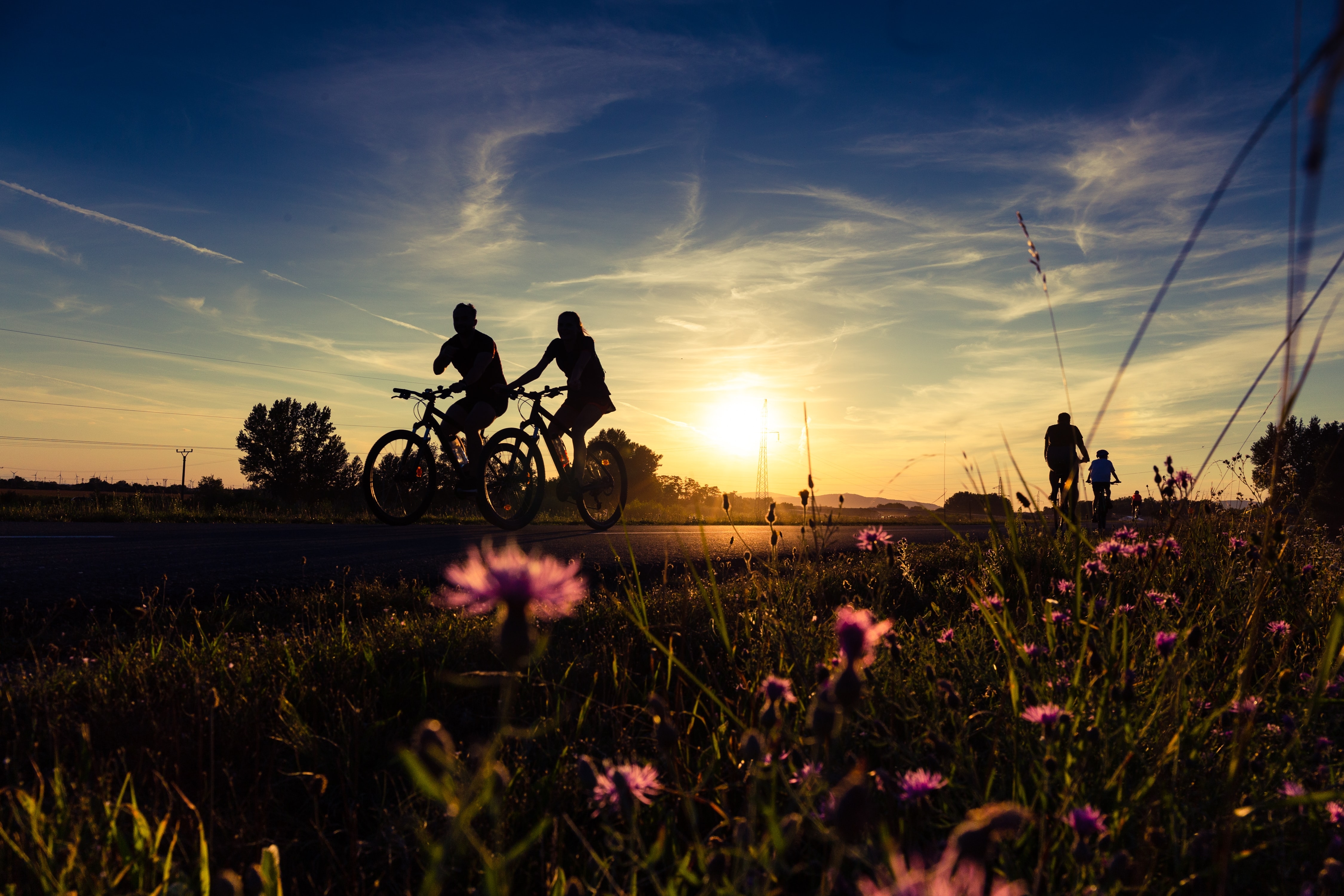 Zwei Fahrradfahrer vor der untergehenden Sonne auf der Landstraße.