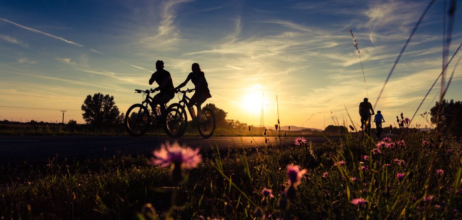 Zwei Fahrradfahrer vor der untergehenden Sonne auf der Landstraße.