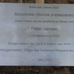 Plakette Baum des Jahres und Widmung Peter Jansen