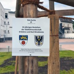 Plakette mit Widmung des Baumes