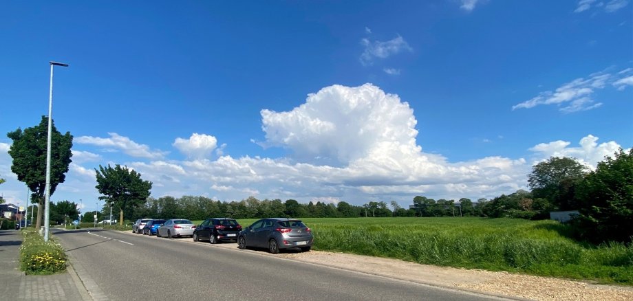 Fläche am Mennekrather Kirchweg, auf der ein Wohnbaugebiet entstehen soll.