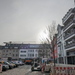 Baumreihe auf dem Marktplatz