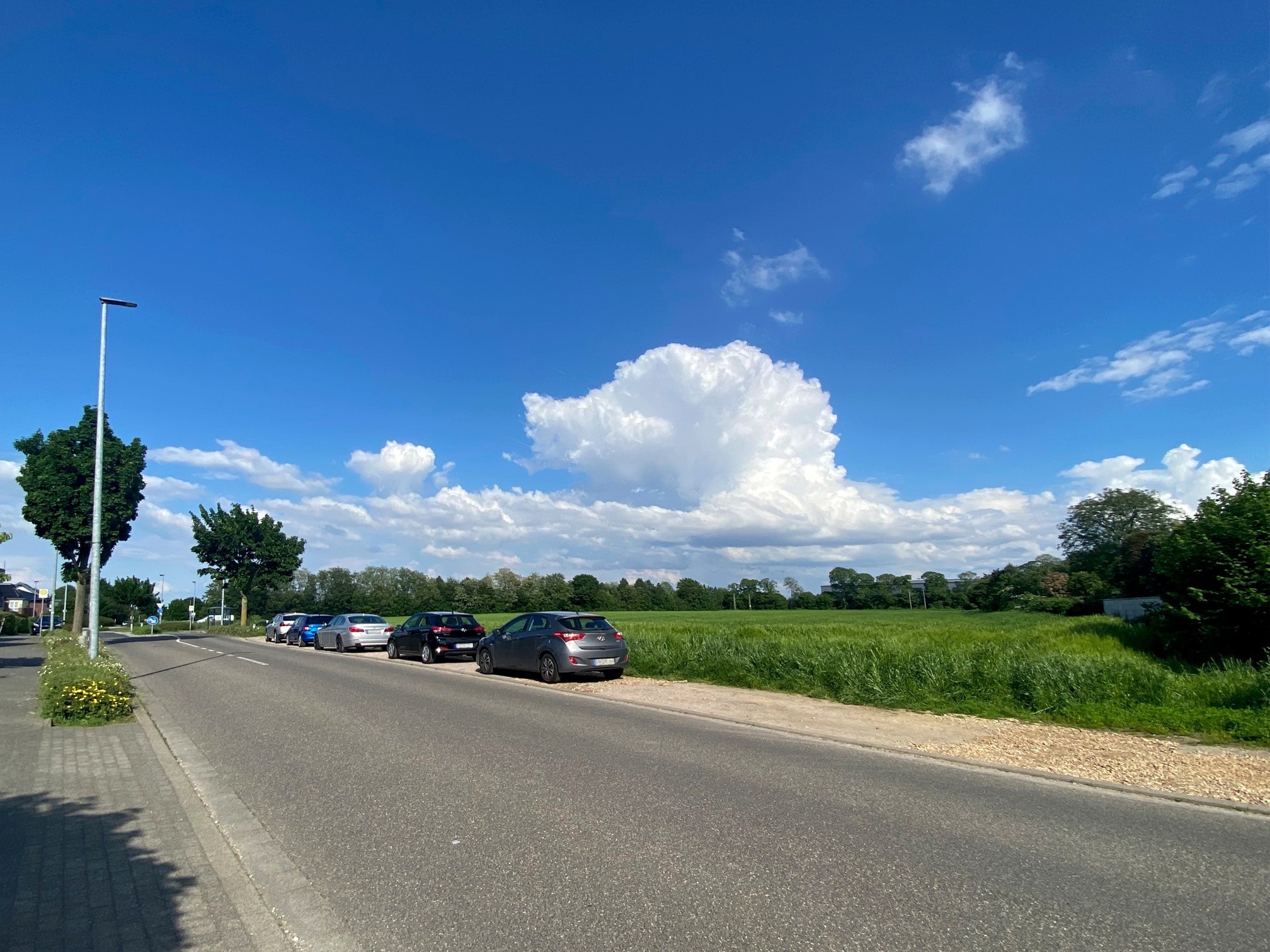 Fläche am Mennekrather Kirchweg, auf der ein Wohnbaugebiet entstehen soll.