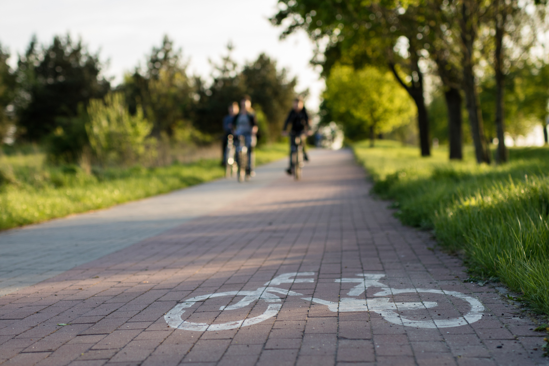 Bicycle path with horizontal marking. Designated place for cycling. Bicycle path with horizontal marking. Designated place for cycling.