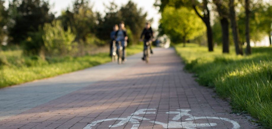 Bicycle path with horizontal marking. Designated place for cycling. Bicycle path with horizontal marking. Designated place for cycling.