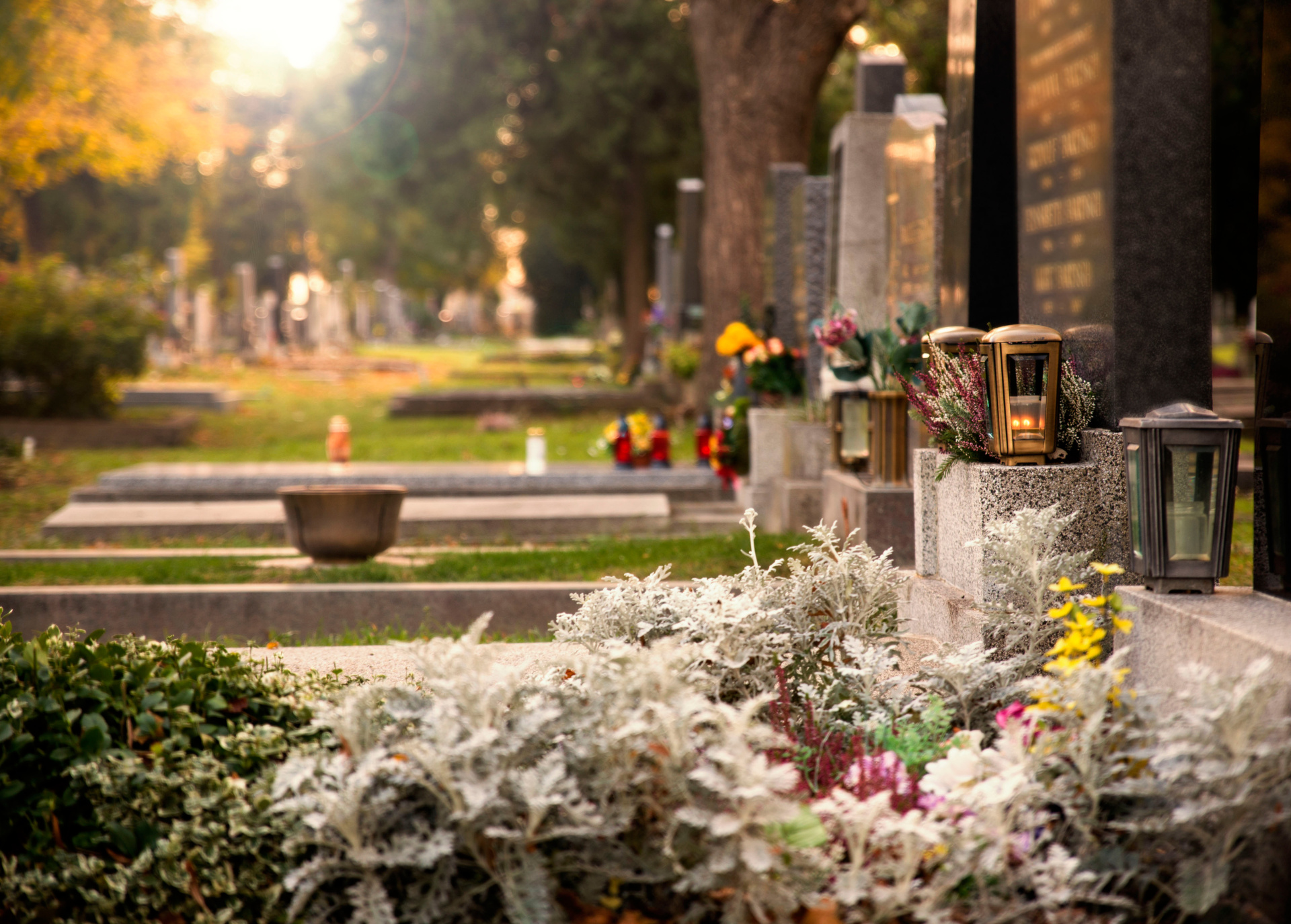 Friedhof Friedhof