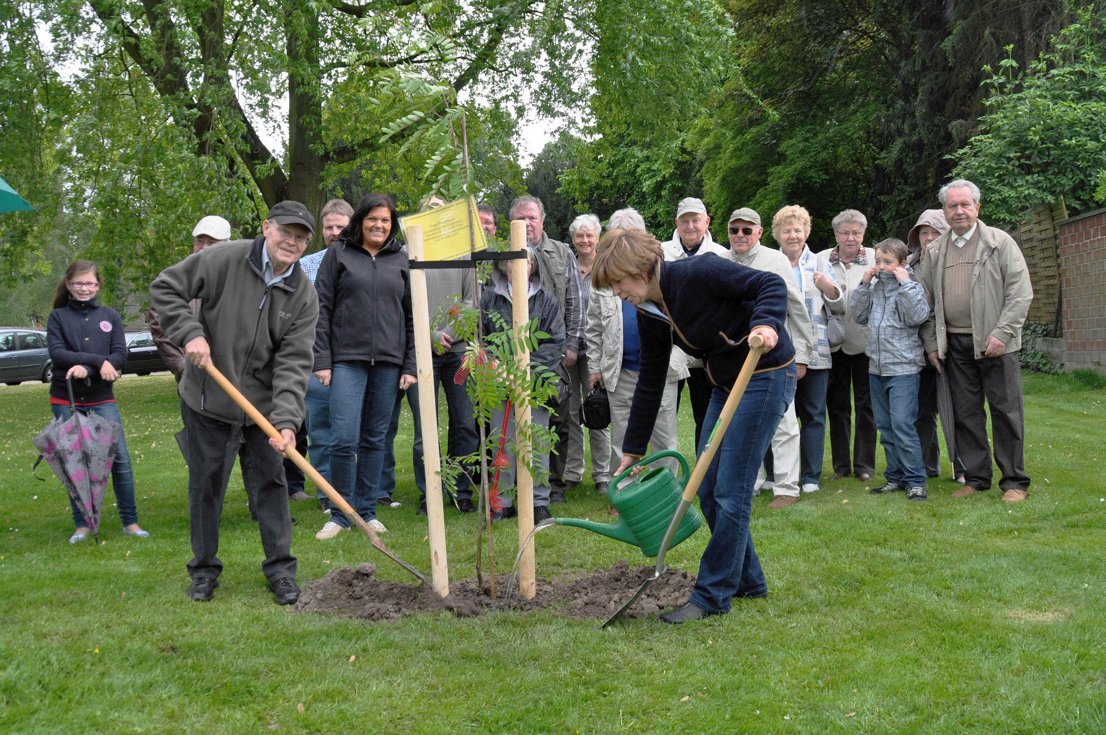 Freundeskreis Thum - Erkelenz: gemeinsame Baumpflanzaktion in Lövenich