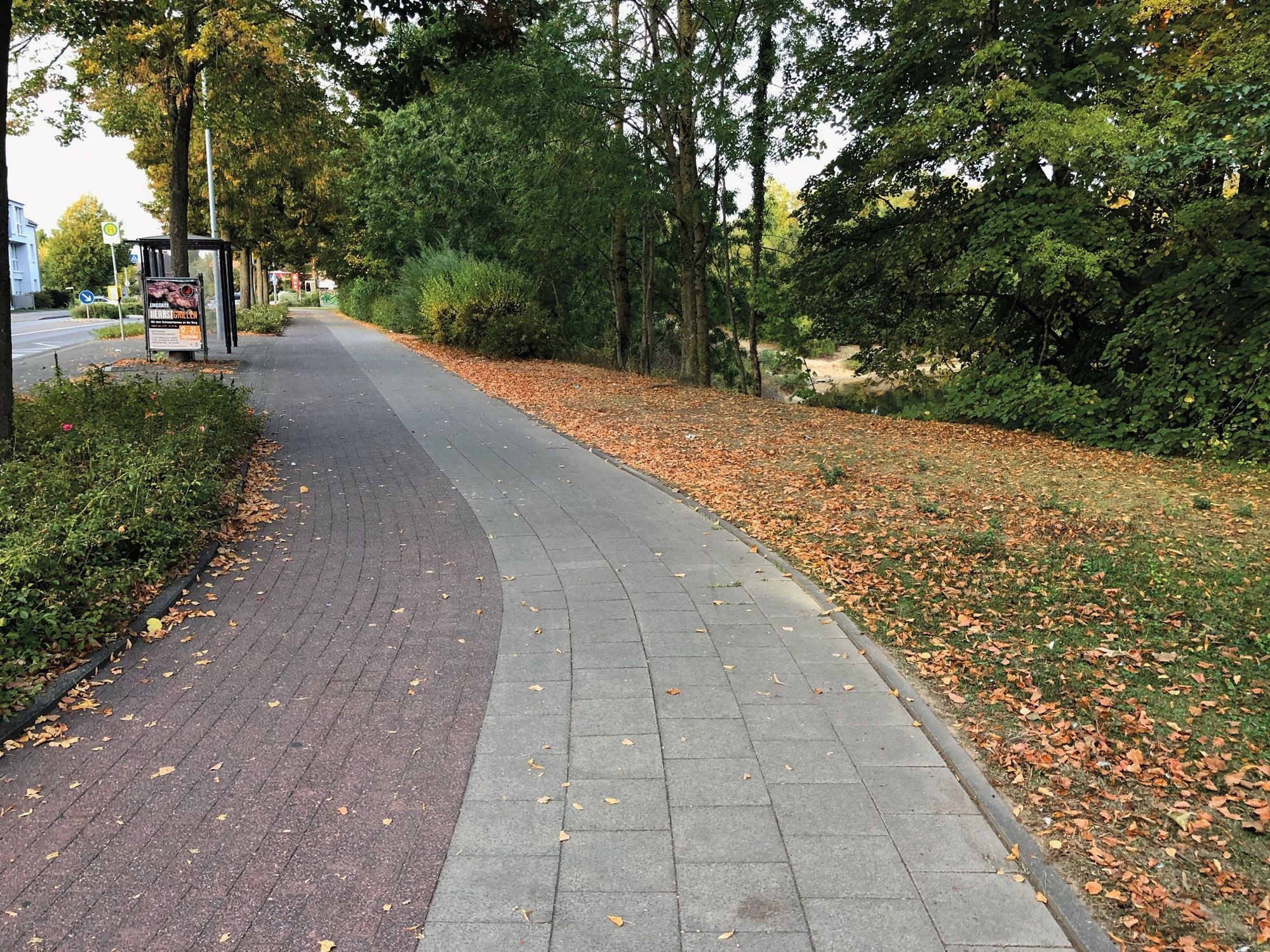 Rad- und Fußweg am Ziegelweiher