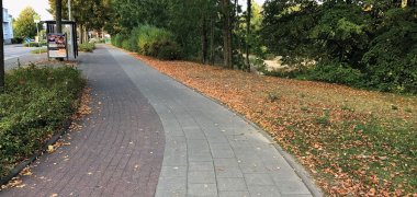 Rad- und Fußweg am Ziegelweiher
